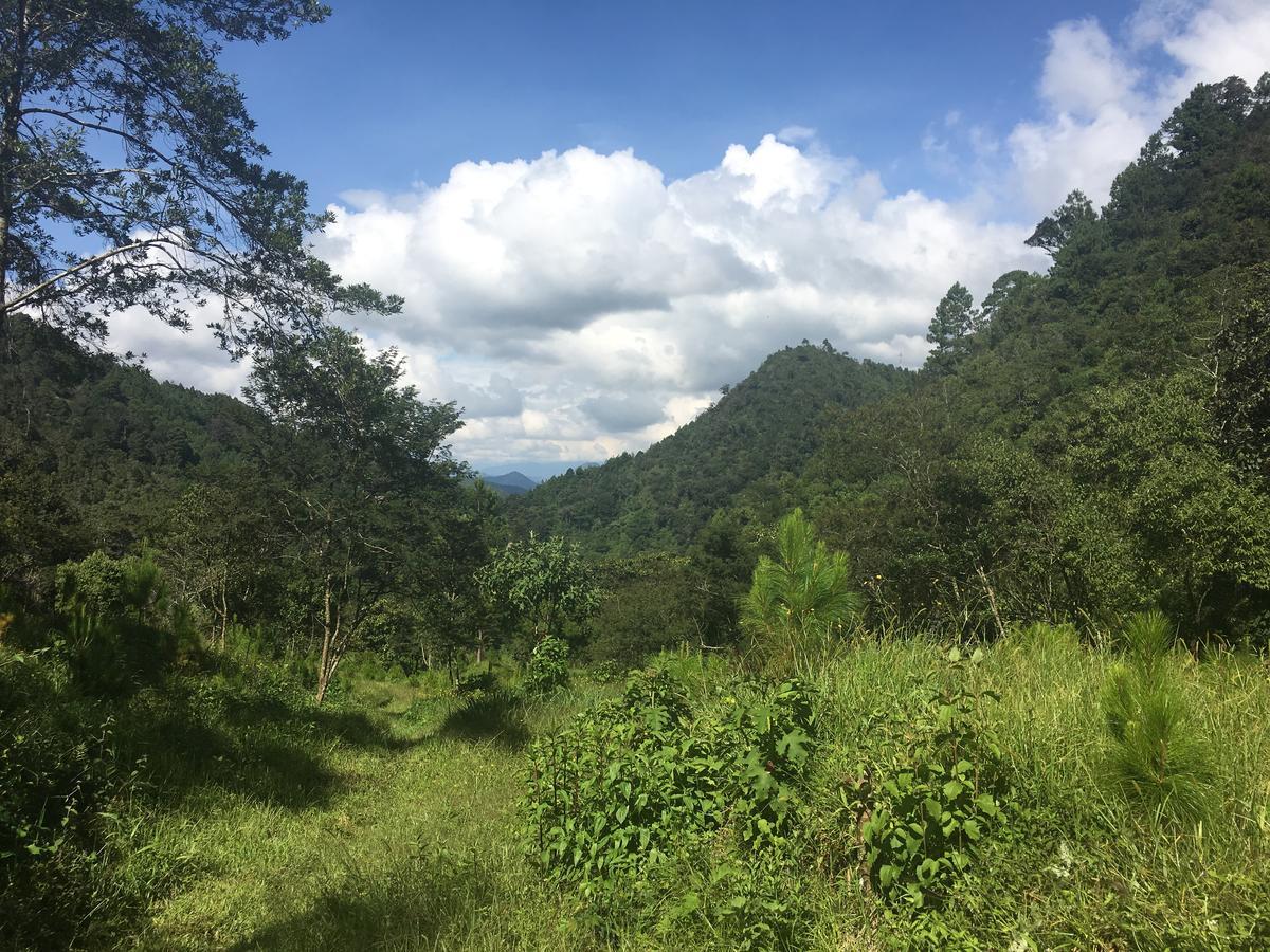 Country Delights Hotel Tamahu Luaran gambar
